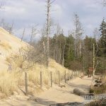 Ruchome wydmy - Słowiński Park Narodowy